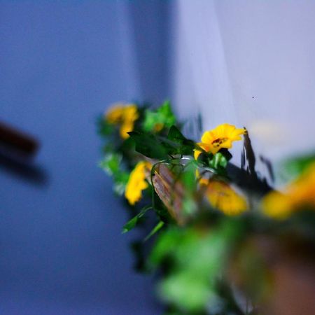 O Viajante Av Paulista Hostel Сао Паоло Екстериор снимка